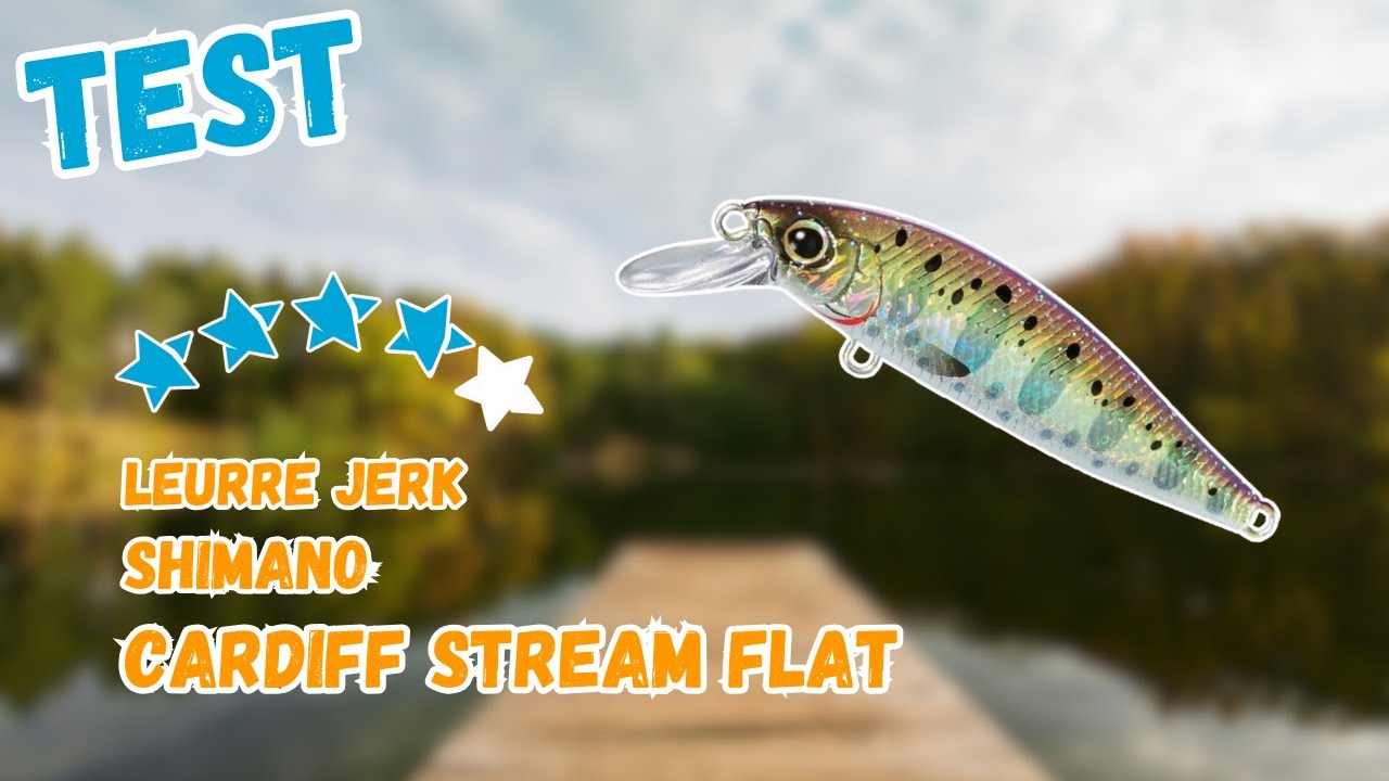Leurre Coulant Shimano Cardiff Stream Flat 65S – 65mm – 6,3g – Coloris 014 – Pour Pêche En Mer