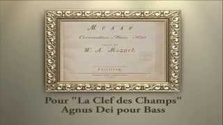 Mozart Coronation M Cmajor K317 Agnus Dei B