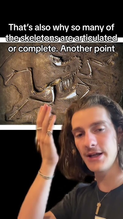 do-dinosaur-bones-exist-youtube