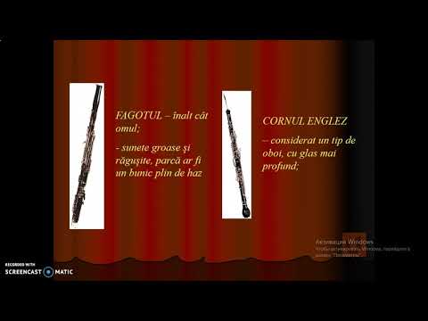 Video: Diferența Dintre Eufoniu și Tubă