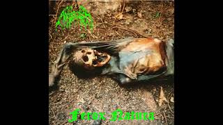 Anticolor - Ferox natura