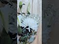С днём рождения меня! 🥳