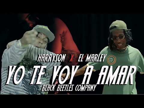 HARRYSON ❌ EL