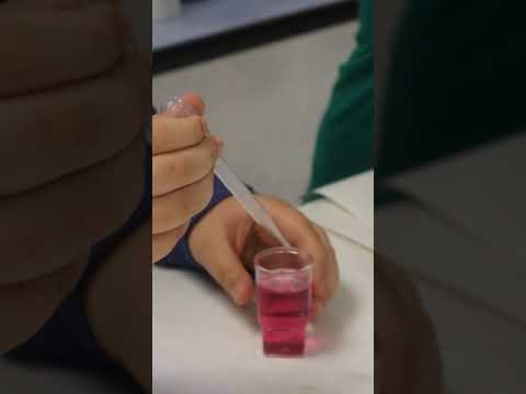 Descubre la ciencia