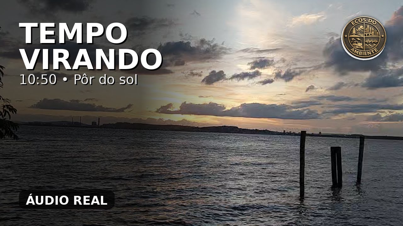 [10MIN50] Entardecer com vento moderado e nuvens (câmera fixa) | Som ...
