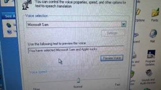 The Default On Samsung Computers on their Microsoft Sam.