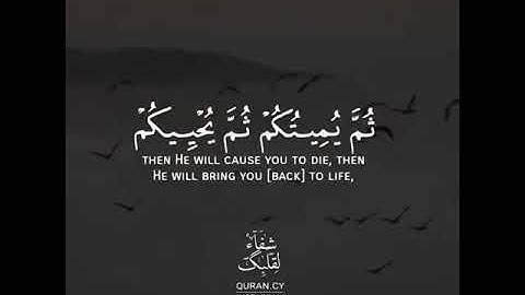 أجمل حالات واتس اب قرآن كريم بصوت سلمان العتيبي | صوت يريح القلب❤️😴