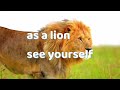 Daily life Inspirational quotes