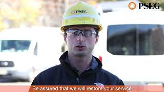 What You Need To Know About Backyard Construction Profile