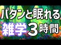 【眠れる男性の声】パタンと寝れる雑学朗読3時間【睡眠用・寝ながら聴ける】