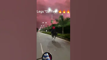 Horse Running in full speed |Leg's on Fire | #horselover #horseriding #hassan