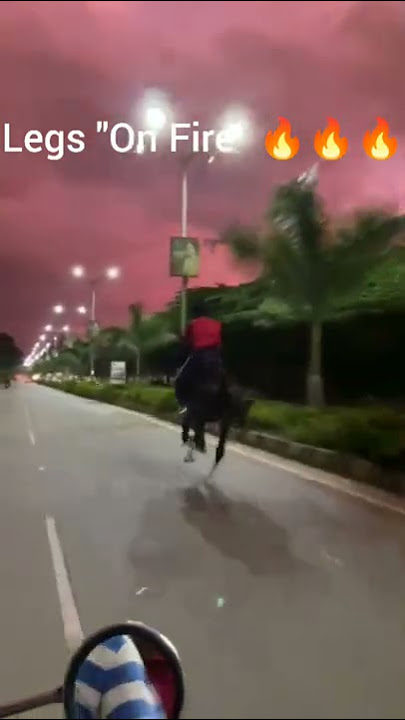 Horse Running in full speed |Leg's on Fire | #horselover #horseriding #hassan