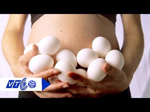 Trứng ngỗng: “Thần dược” giúp sinh con thông minh? | VTC
