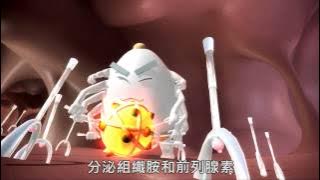 中文字幕 047 過敏反應