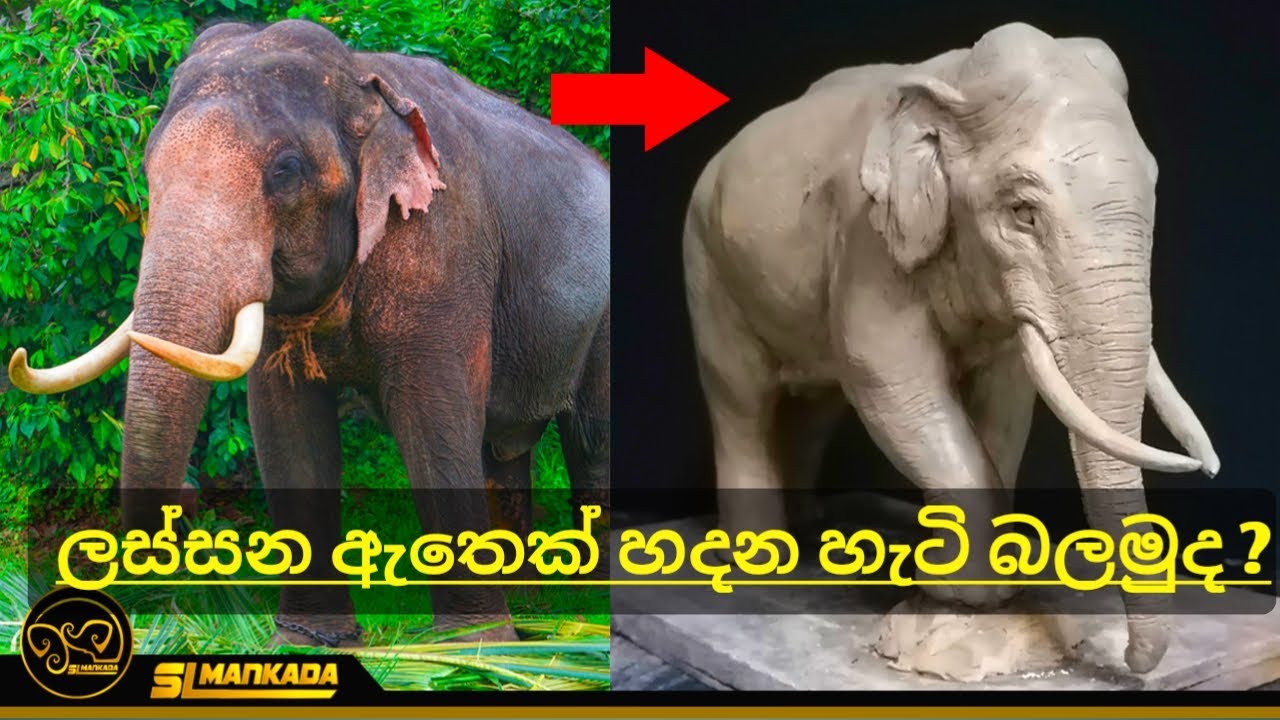 අලියෙක් මැටි වලින් හදන හැටි බලමුද?  | Elephants Sculpture | step by step | SL Mankada