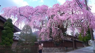 日光、春巡りダイジェスト2025 - YouTube