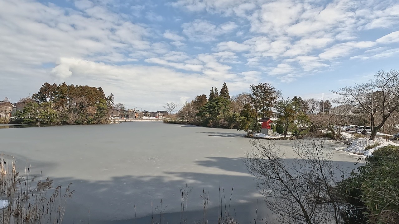 【ふるさと百景】　春告音　国府　蓮池　（新潟県上越市）