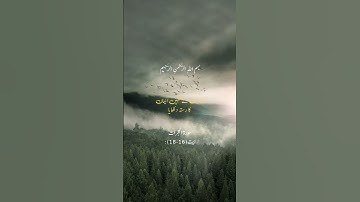 سورة الحجرات  ایت (16-18):