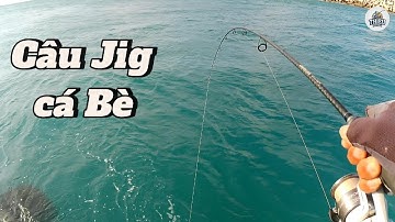 Tập 69 | Câu jig cá bè biển vĩnh tân @thieufishing