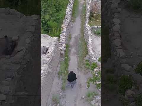 طوفانی در دل دلبر دوبله فارسی 13   