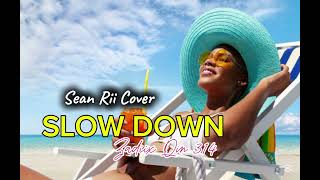Slow down Sean Rii Cover Zadiix Qin music website 🇻🇺🇸🇧🇦🇴🇼🇸