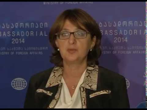 მინისტრის კომენტარი ზურაბ ჯაფარიძის განცხადებაზე