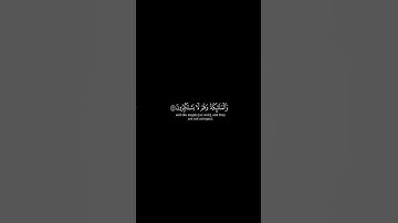 أولم يروا إلى ما خلق الله  || القارئ ياسر الدوسري #كرومات_قرآن #quran