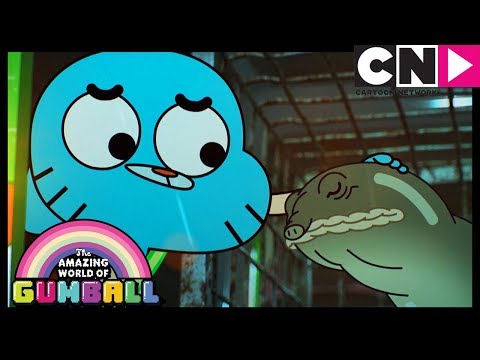 Gumball | The Watterson's Evil Turtle | Cartoon Network