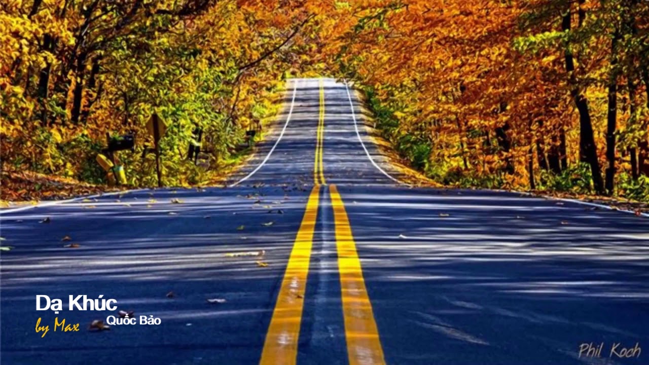 Golden roads. Дорога вверх. Дорога в даль. Осень трасса. Золотая дорога.