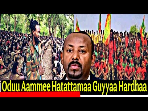 ODUU AAMMEE Hatattamaa Hagayya 23 2025 Afaan Oromoo Guyyaa Hardhaa 