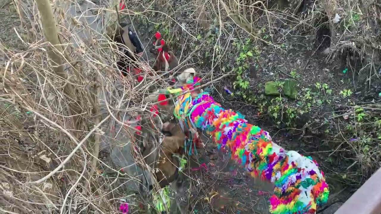 Capra Albele 2023 - Valea Plângerii