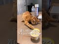 飯グソだけはやめてwwwww