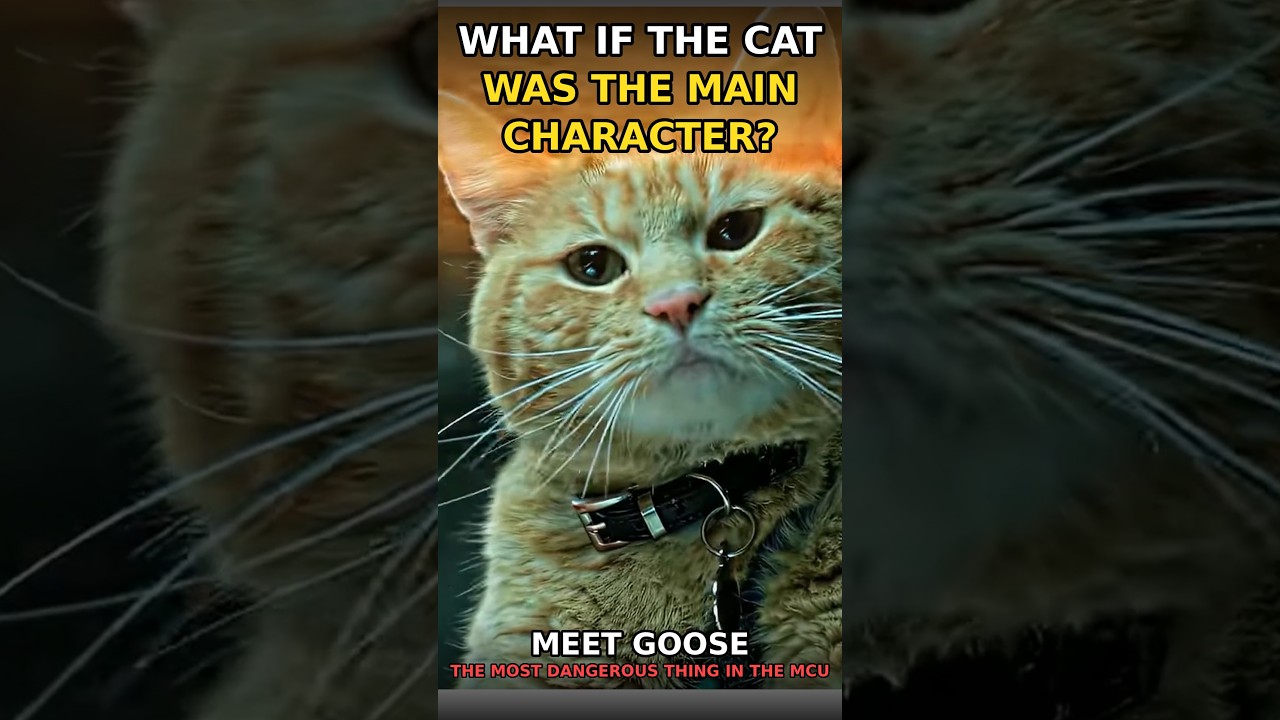 What if the cat was never the pet...but the threat? | Movie Recap