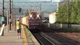 EF81 28牽引 北陸本線 コンテナ貨物列車通過 【HD】