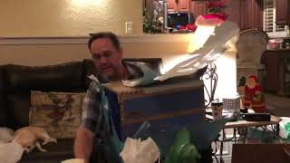 Boxes Before Present