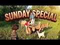 Ibrahim Dogar Ka Bakriyon Ke Saath Din | Sunday Vlog 🐐✨