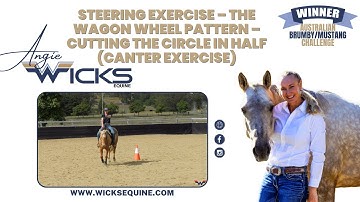 STEERING EXERCISE – THE WAGON WHEEL PATTERN – CUTTING THE CIRCLE IN HALF (CANTER EXERCISE)