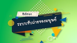 ระบบขับถ่ายของมนุษย์ วิชาชีววิทยา ม.5