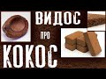 Что такое кокосовый субстрат? Как подготовить кокосовый субстрат?