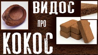 Что такое кокосовый субстрат? Как подготовить кокосовый субстрат?