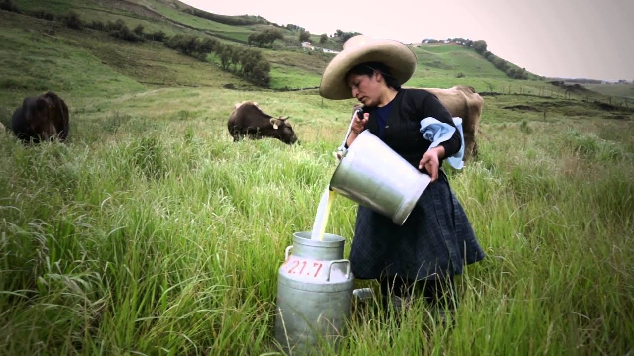 Vídeo Institucional FONCREAGRO YANACOCHA