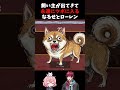 バトル終盤に突然飼い主が出てきて笑いが止まらないなるせとローレンwww #nqrse #なるせ切り抜き