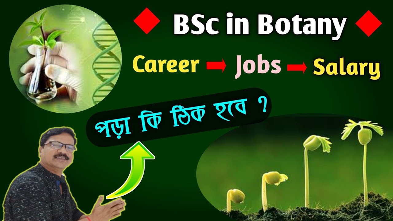 phd in botany salary in india