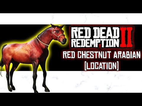 Actors  Wild Horse Kate's Red Dead Redemption