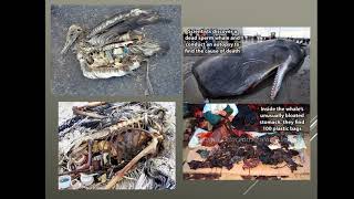 21 - Human impacts on Oceans
