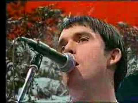 video can you dig it