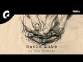 Gavin luke  the gift