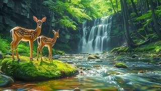 Calm Your Nervous System 🌿 Healing Sleep Music for Anxiety Relief, Relax the Mind & Concentration