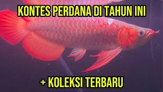 KONTES PERDANA DI TAHUN INI   KOLEKSI TERBARU