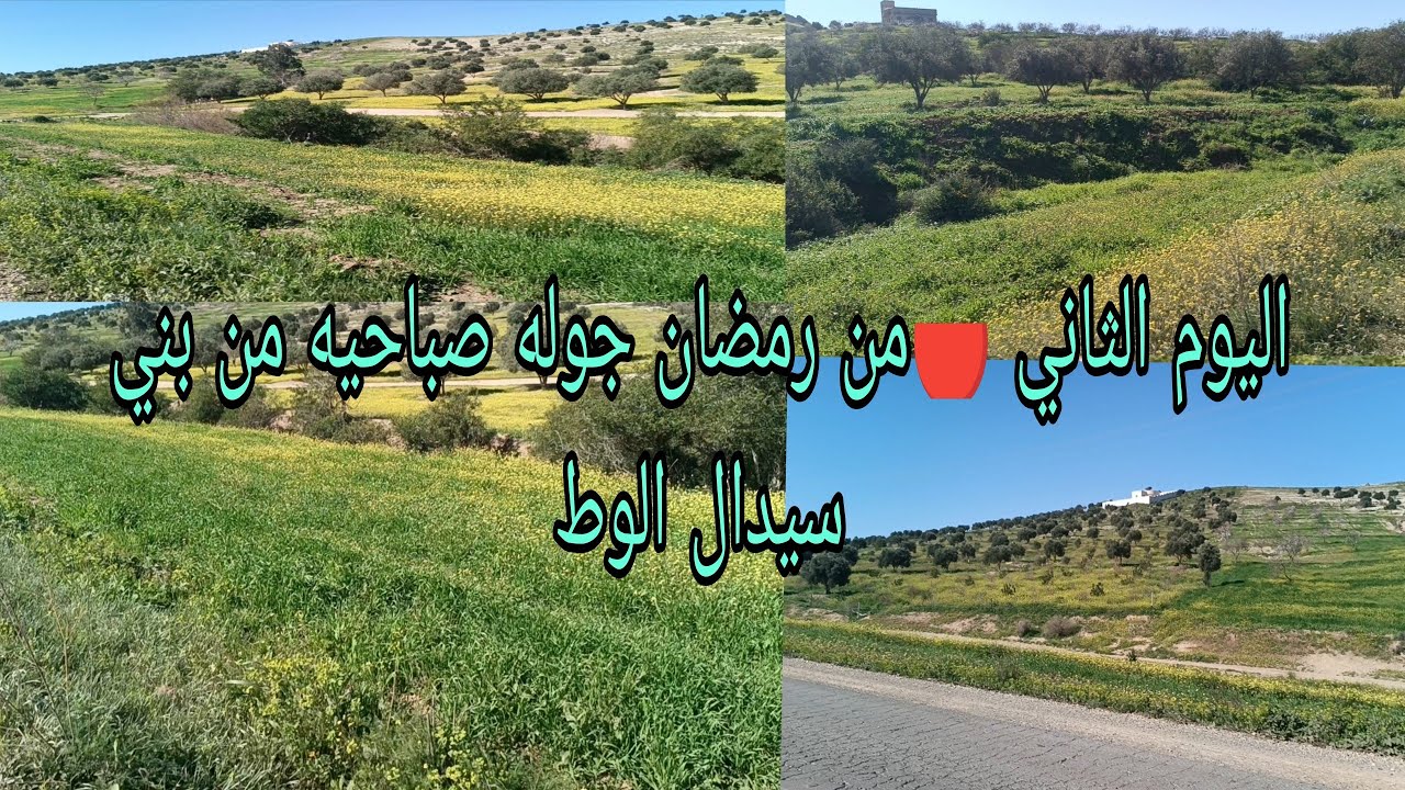 اليوم الثاني 🔴من رمضان جوله صباحيه من بني سيدال الوط